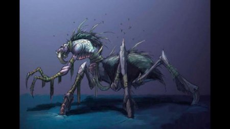 Неруб варкрафт