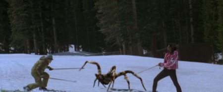 Огромные пауки