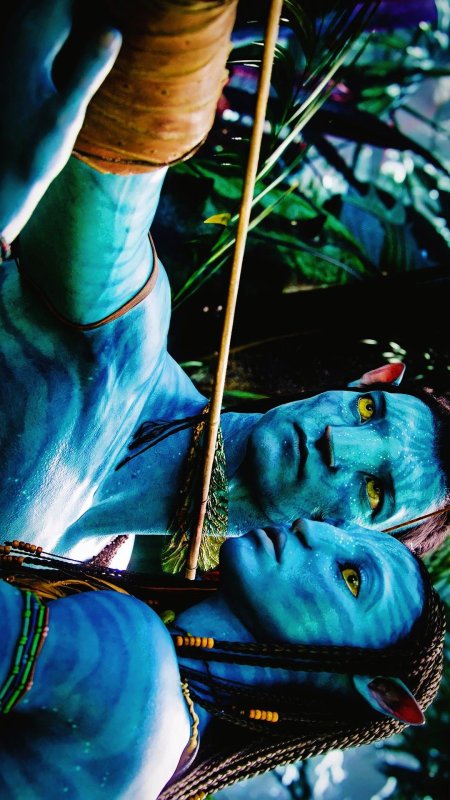 Аватар джейк салли и нейтири