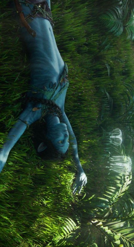 Нейтири из аватара