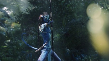 Лук аватар джеймса кэмерона