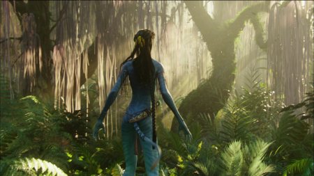 Аватар джеймс кэмерон лес