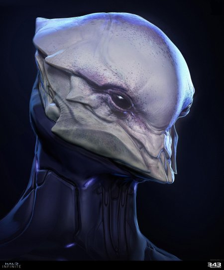 Halo предвестница