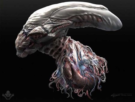 Неоморф и ксеноморф