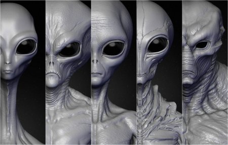 Серые пришельцы