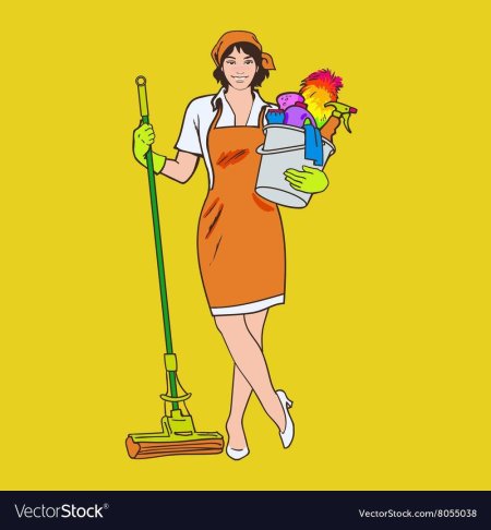 Поп арт домохозяйка