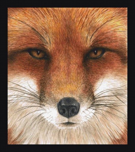 Рисунок лисы