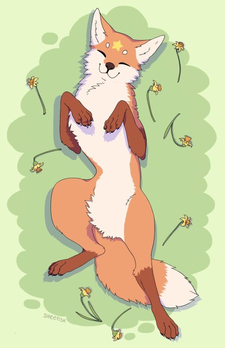 Лисичка рисунки