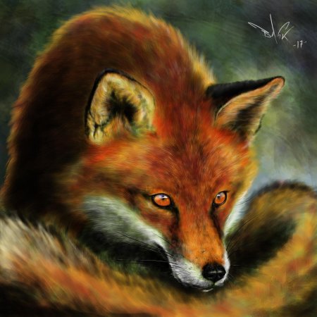 Лиса иллюстрация