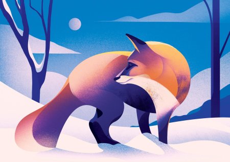 Картина по номерам лисица