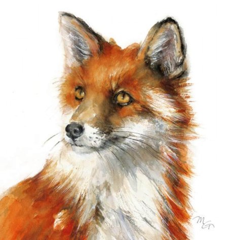Лиса акварель