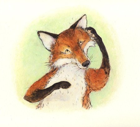 Лиса иллюстрации
