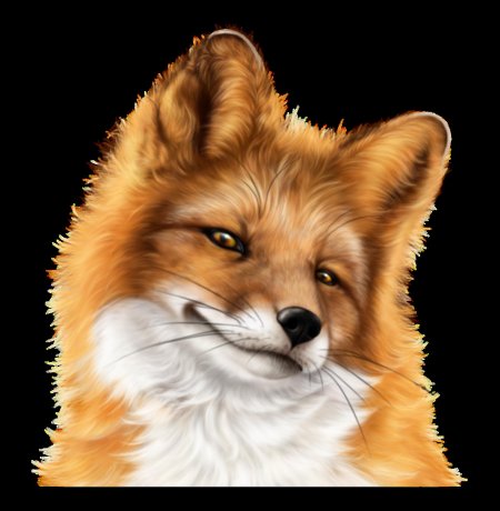 Морда лисы рисунок для детей