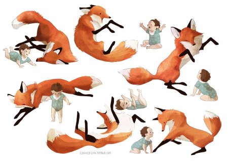 Лисица в разных позах