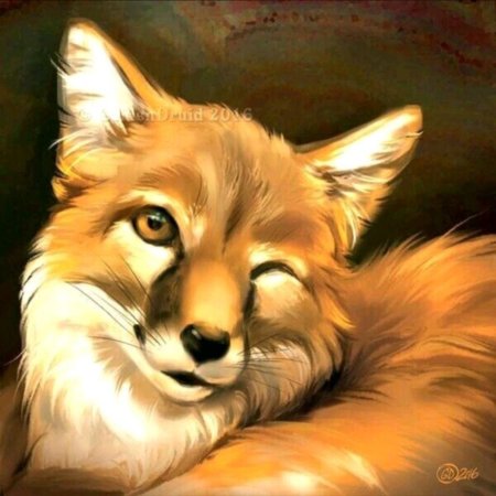 Художник marcia baldwin лисичка