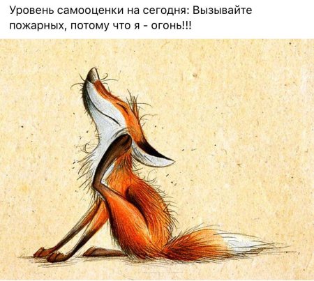 Лиса прикольные рисунки