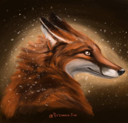 Красивая лиса арт