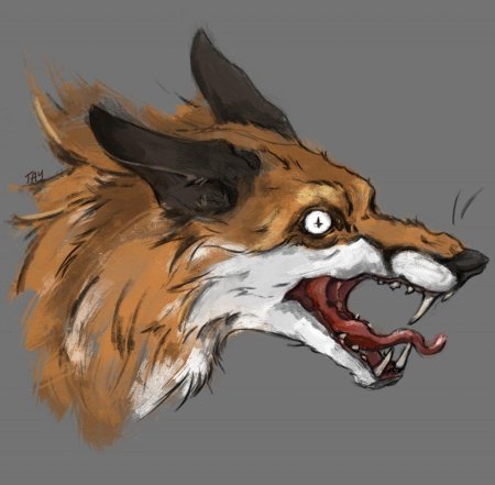 Кульпео фокс злой лис