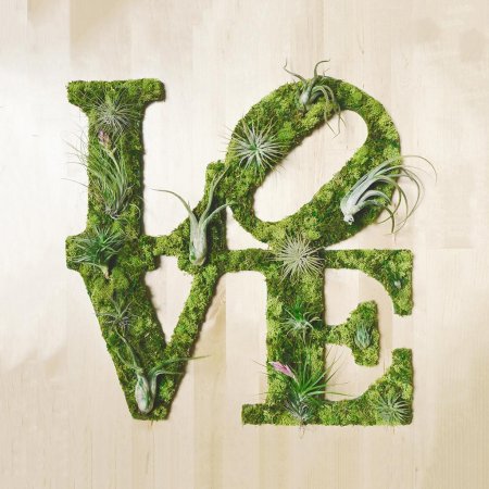 Декор из мха