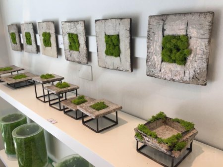 Панно из мха ягель