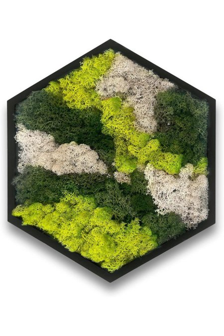 Стабилизированный мох