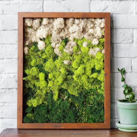 Мох ягель панно