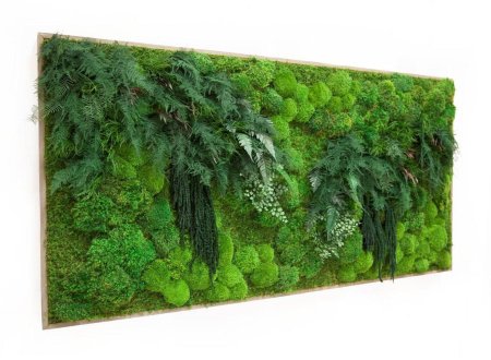 Moss green / мох стабилизированный