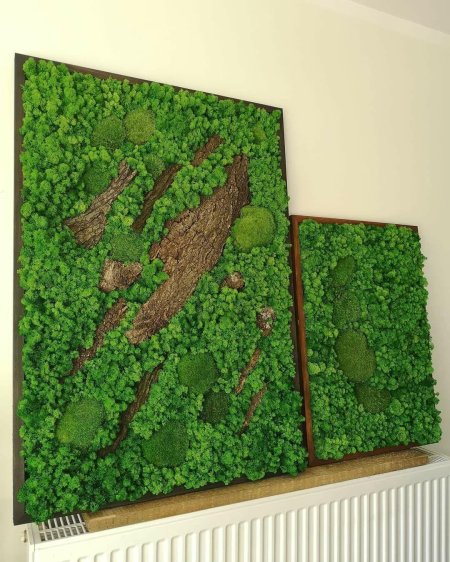 Фитокартина из мха