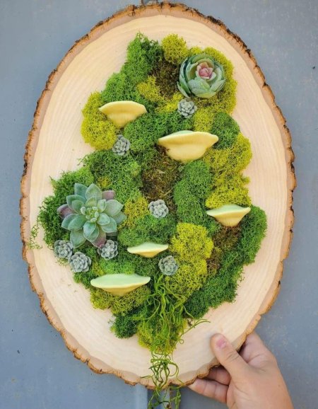 Панно с мхом