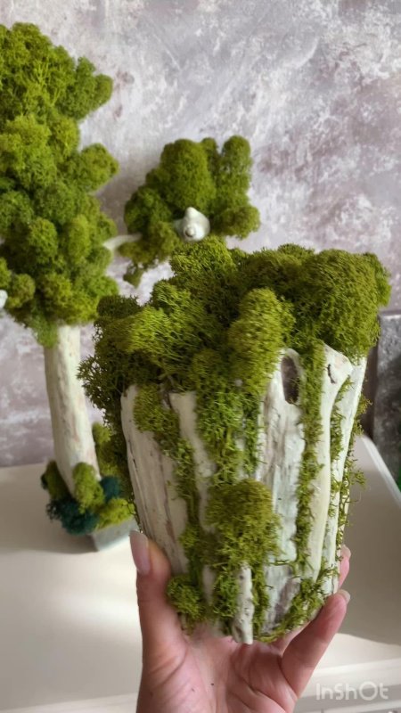 Панно из стабилизированного мха дерево