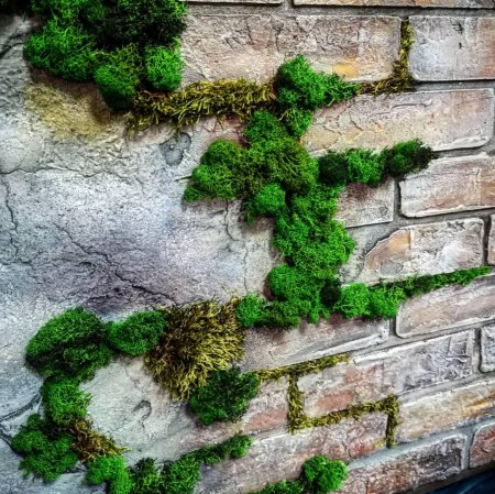 Стабилизированный мох на стене
