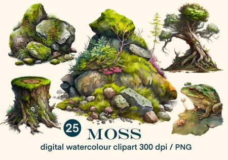 Мох рисунок