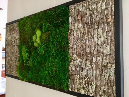 Панно из мха на стену
