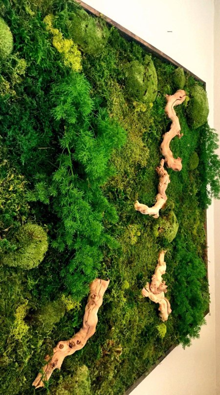 Панно со мхом