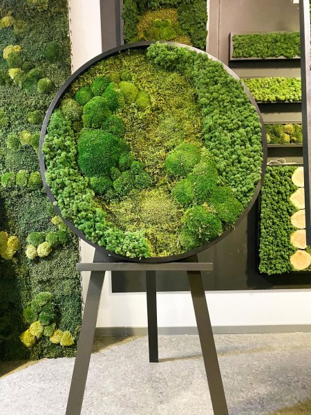 Панно из стабилизированного мха с подсветкой