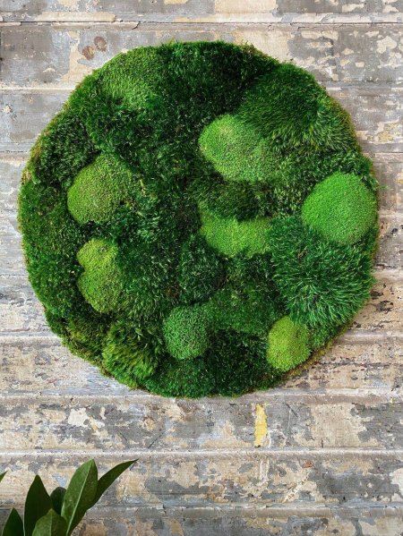 Круглое панно из мха