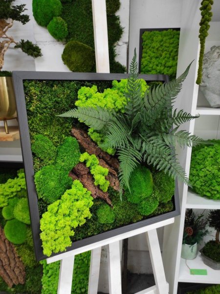 Стабилизированные растения