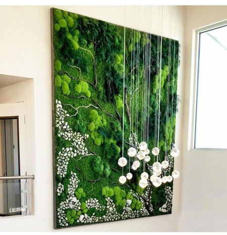 Стабилизированные растения