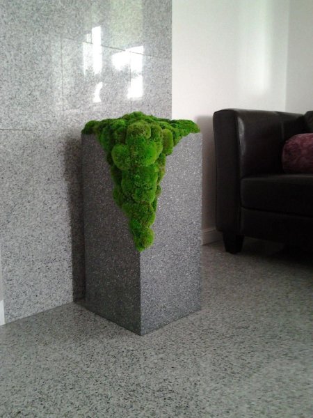 Кашпо с мхом стабилизированным