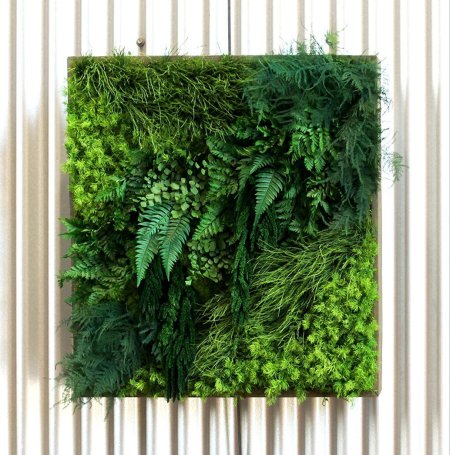 Фитостена из стабилизированного мха и растений