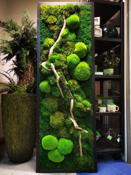 Стабилизированный мох в интерьере