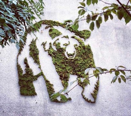 Граффити из мха