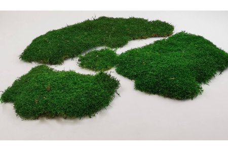 Пластовый стабилизированный мох