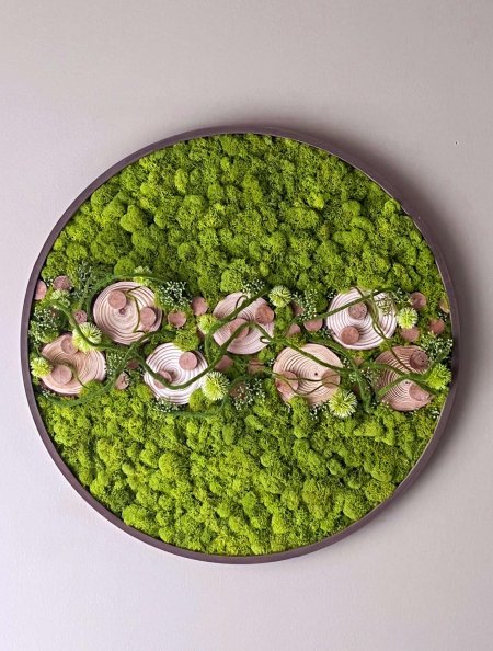 Композиции из мха