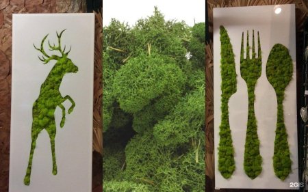 Панно из мха олень