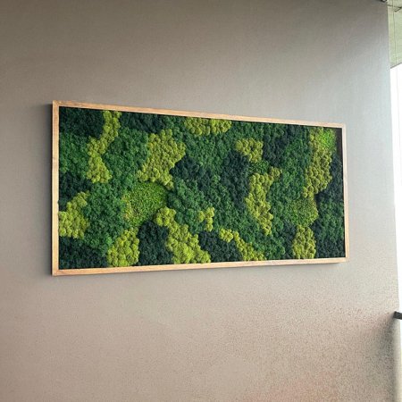 Панно из стабилизированно мха gardengo в рамке