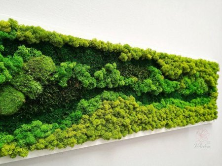 Настенные панно из стабилизированного мха