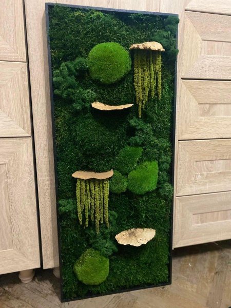 Фитостена из мха