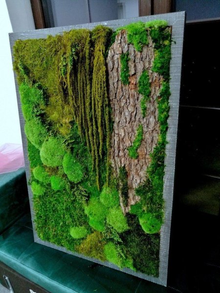Фитокартина из мха