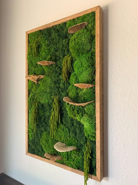 Панно из мха на стену